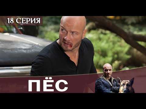 Пес 6 сезон
