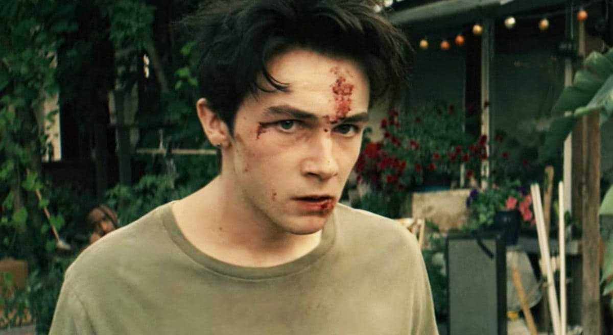 Wayne season 2: is it renewed?