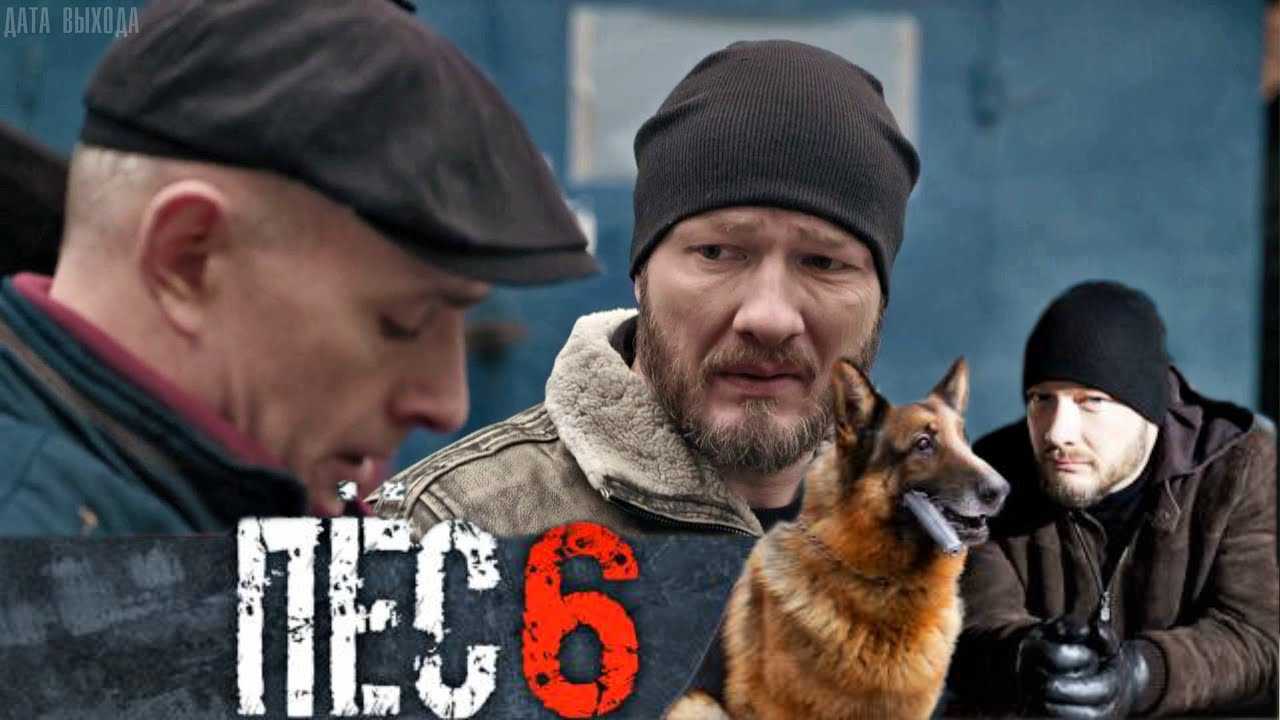 Лучший пес 6. Сериал пёс 7. Пёс 7 сезон. Пёс 6 сезон 7 серия. Пёс 1 сезон 8 серия.