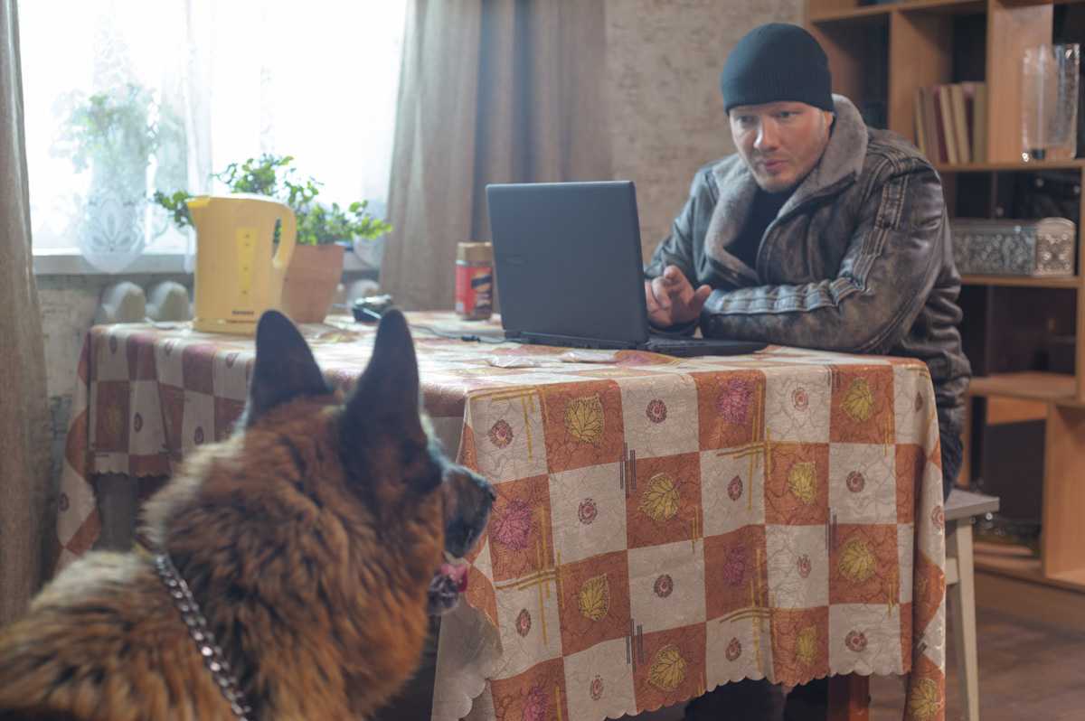 Пёс 7 сезон - дата выхода серий, трейлер, последние нвости