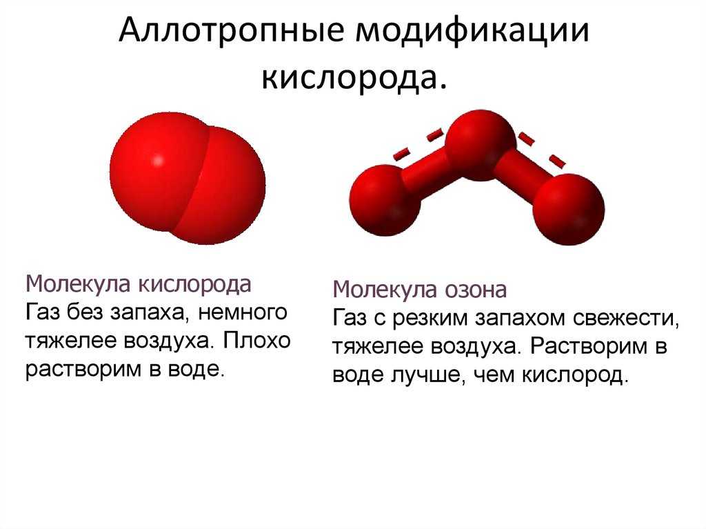 Джон каподиче