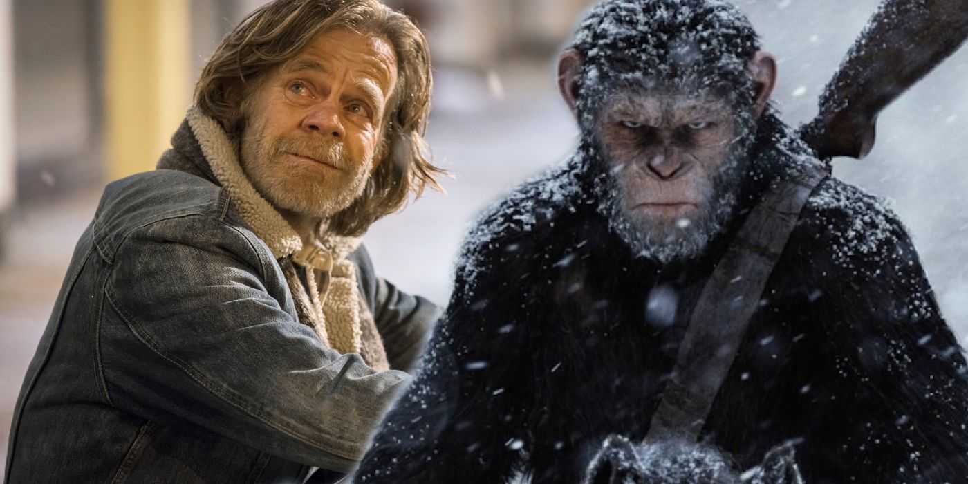 Хронология фильмов «планета обезьян»: все части, фильмы и серии по порядку
