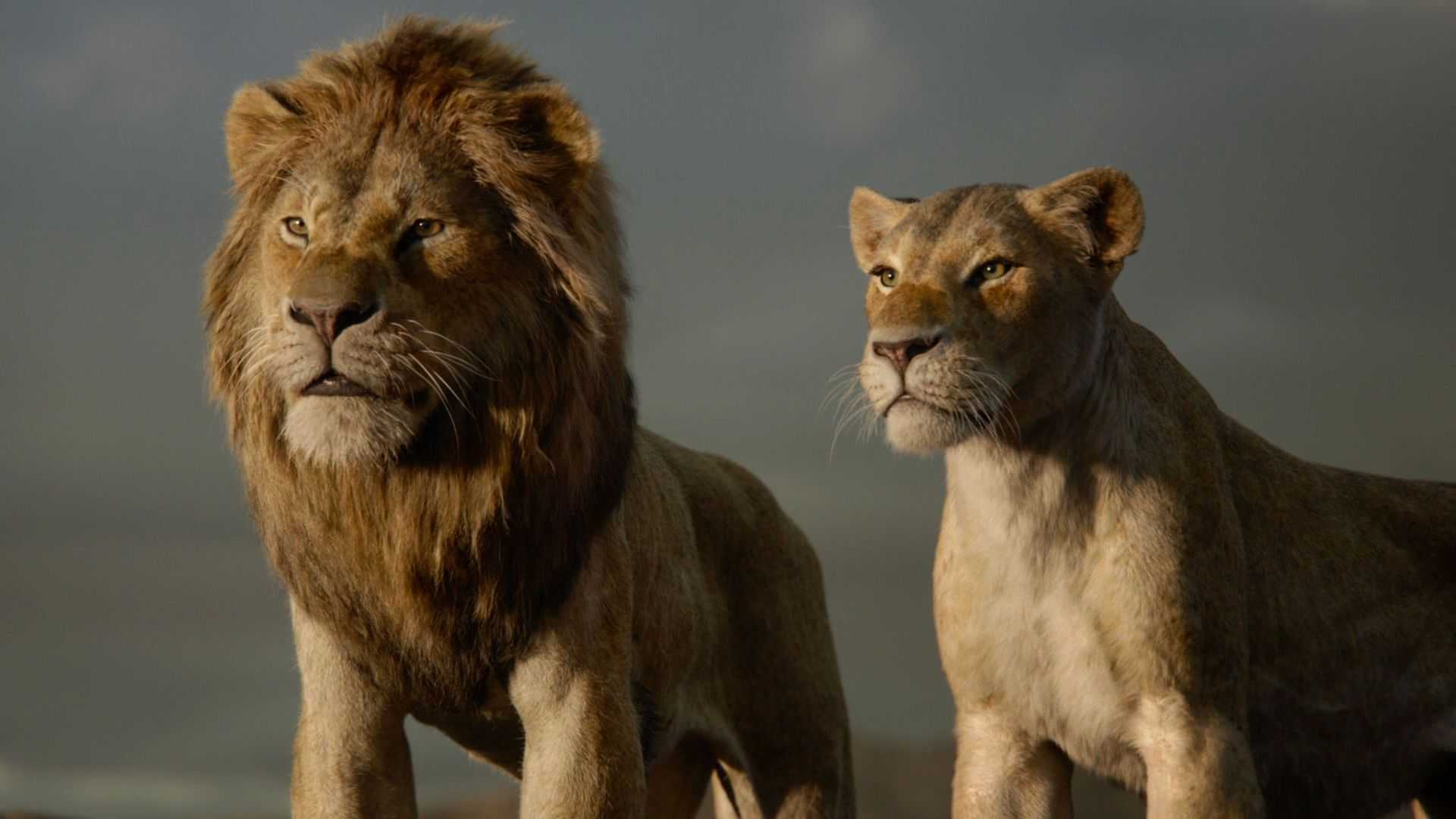 Disney представил нового «короля льва» — новости на фильм про