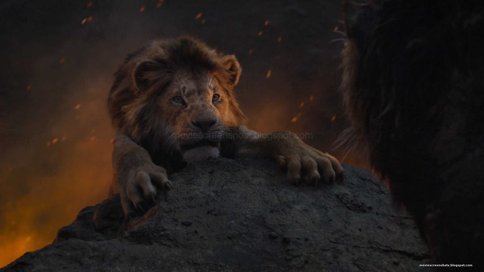 Король лев 2: премьера и все, что известно о фильме 2023 года