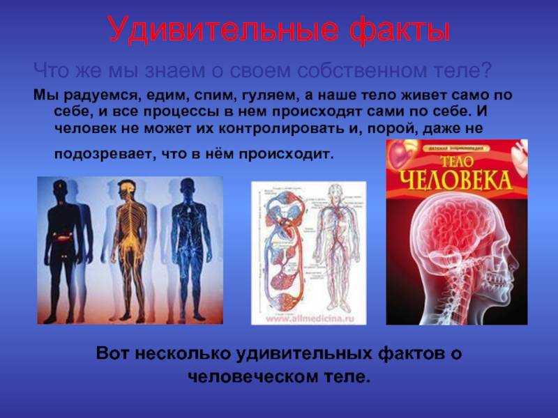 Точное время сейчас с секундами онлайн в вашем городе