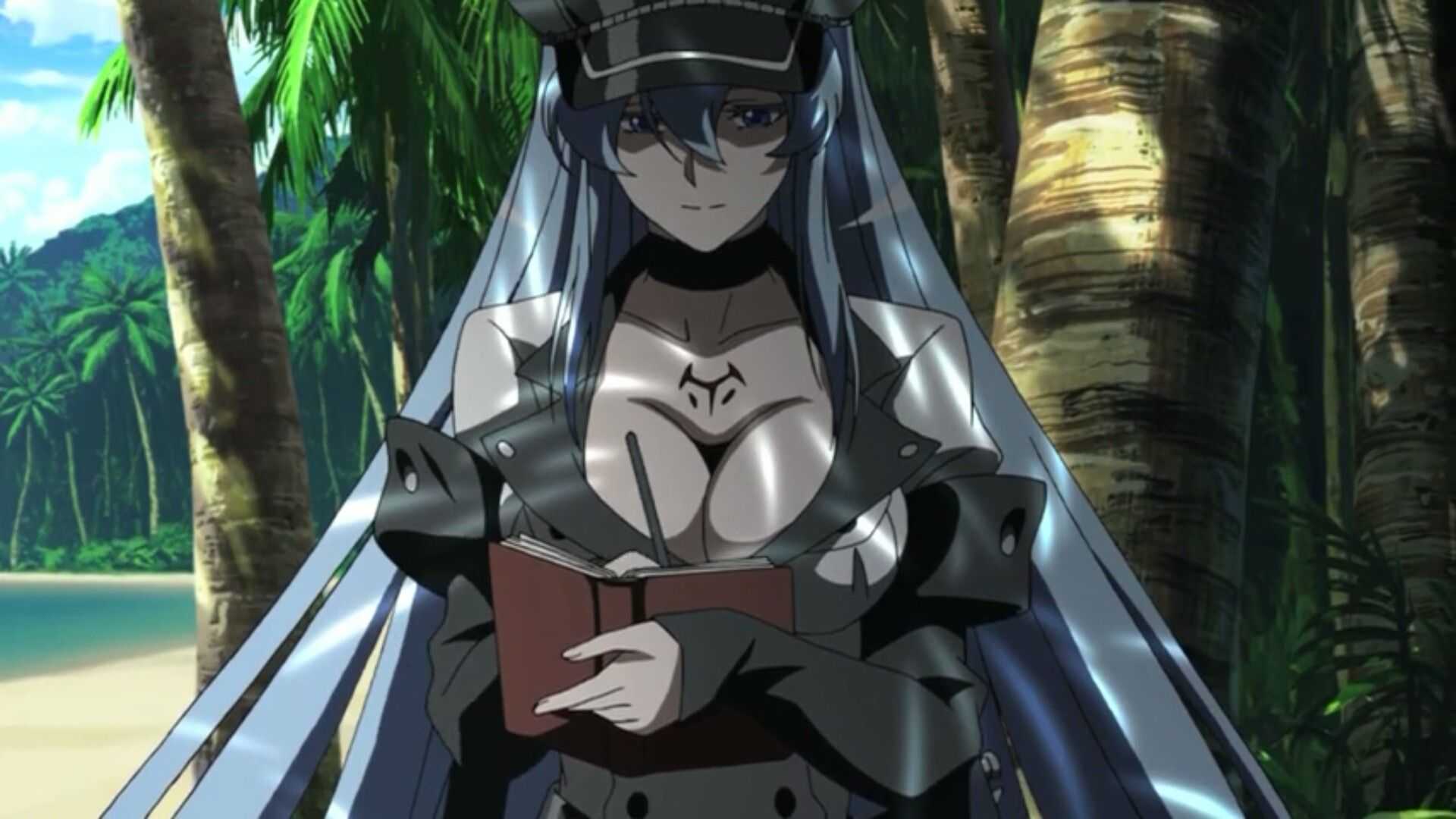 Убийца акаме: дата выхода 2 сезона или обзор на аниме akame ga kill