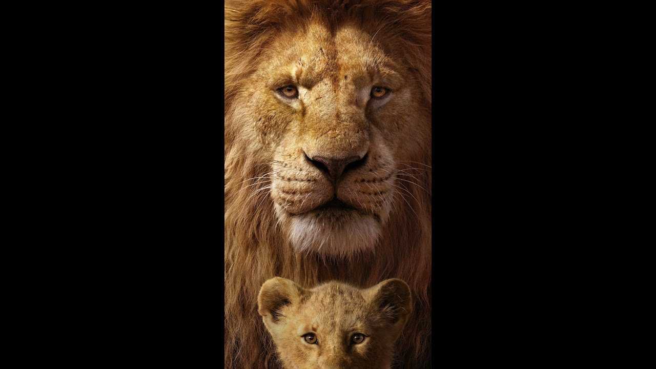 Король лев - обзор, история создания и успеха мультфильма король лев