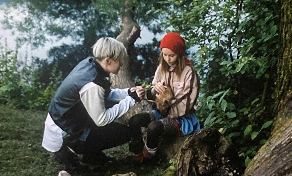 Содержание серий и сюжет фильма «красная шапочка» (2022), чем закончится, актеры и роли
