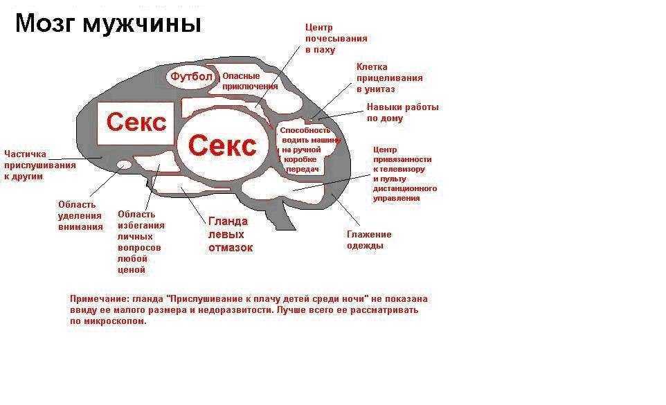 Что такое время в физике и механике: понятие, формула, как обозначается